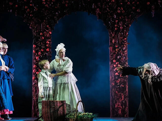 Изображение для афиши Пермский академический Театр-Театр «Карлик Нос»