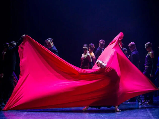 Изображение для афиши Театр балета Бориса Эйфмана «Красная Жизель»